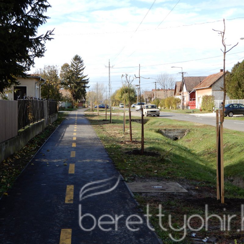 Közösségi faültetés Berettyóújfaluban 95